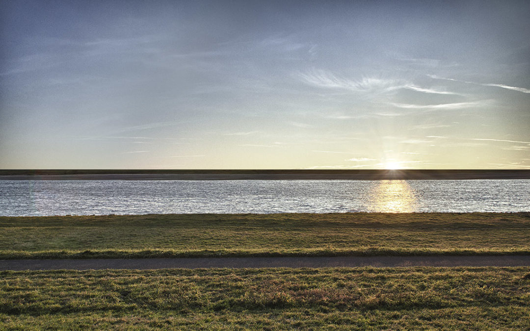 Am Rhein
