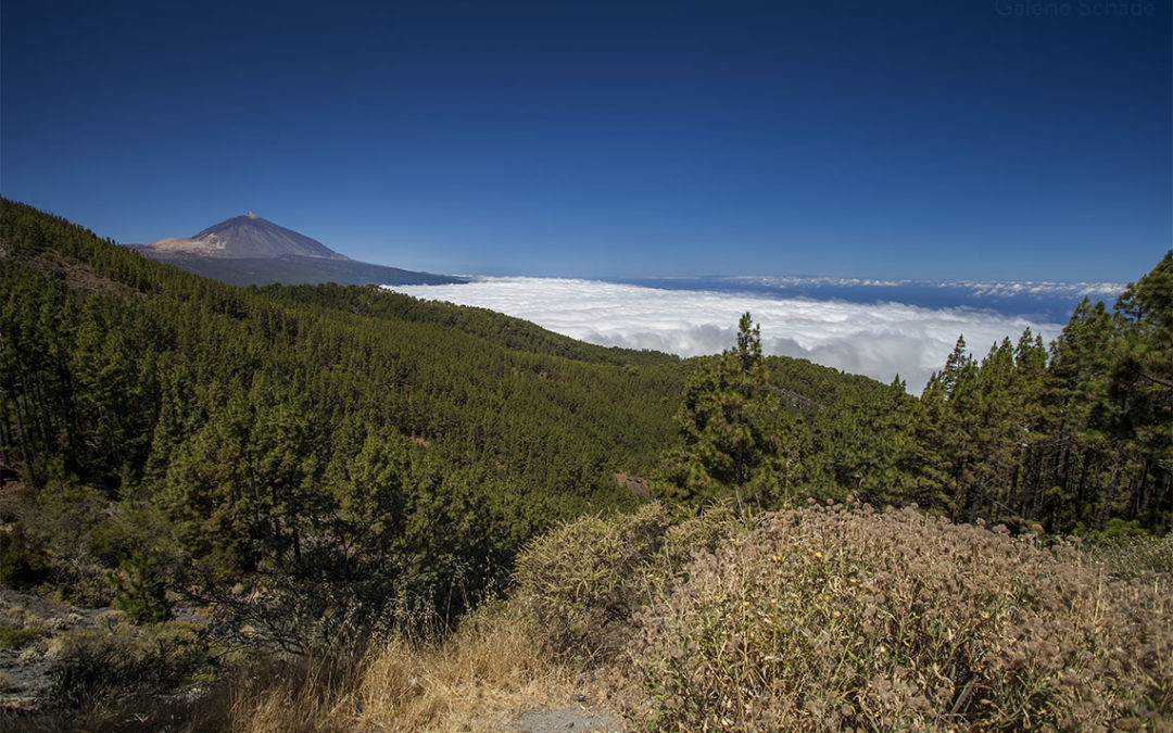 Teneriffa
